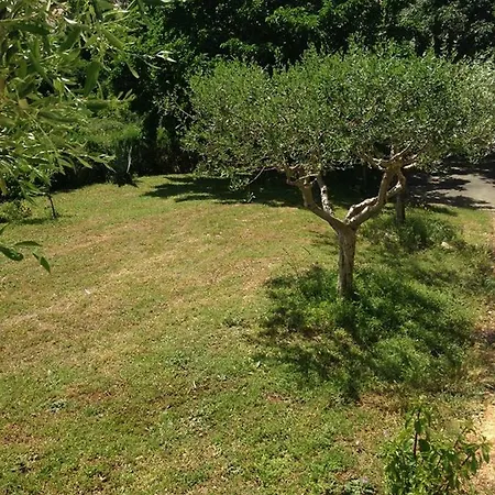 Apartman Kuca Za Odmor Vojak
