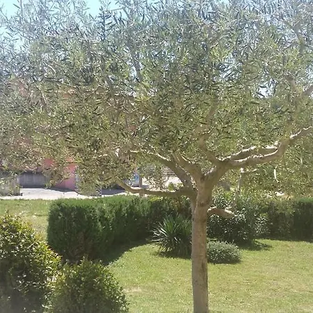 Kuca Za Odmor Vojak *